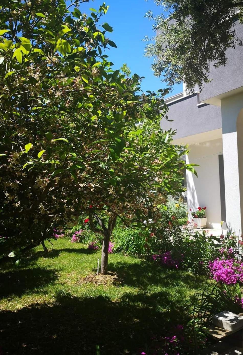 Apartmani Dianna Kastela Dış mekan fotoğraf